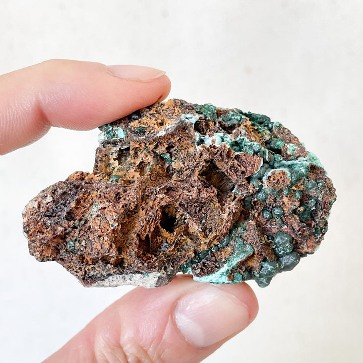 Malachiet groene cluster met druzy blauwe Chrysocolla (S)