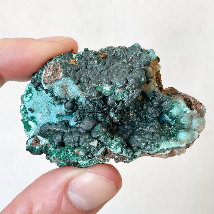 Malachiet groene cluster met druzy blauwe Chrysocolla (S)