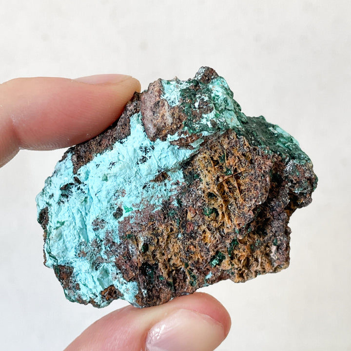 Malachiet groene cluster met druzy blauwe Chrysocolla (S)