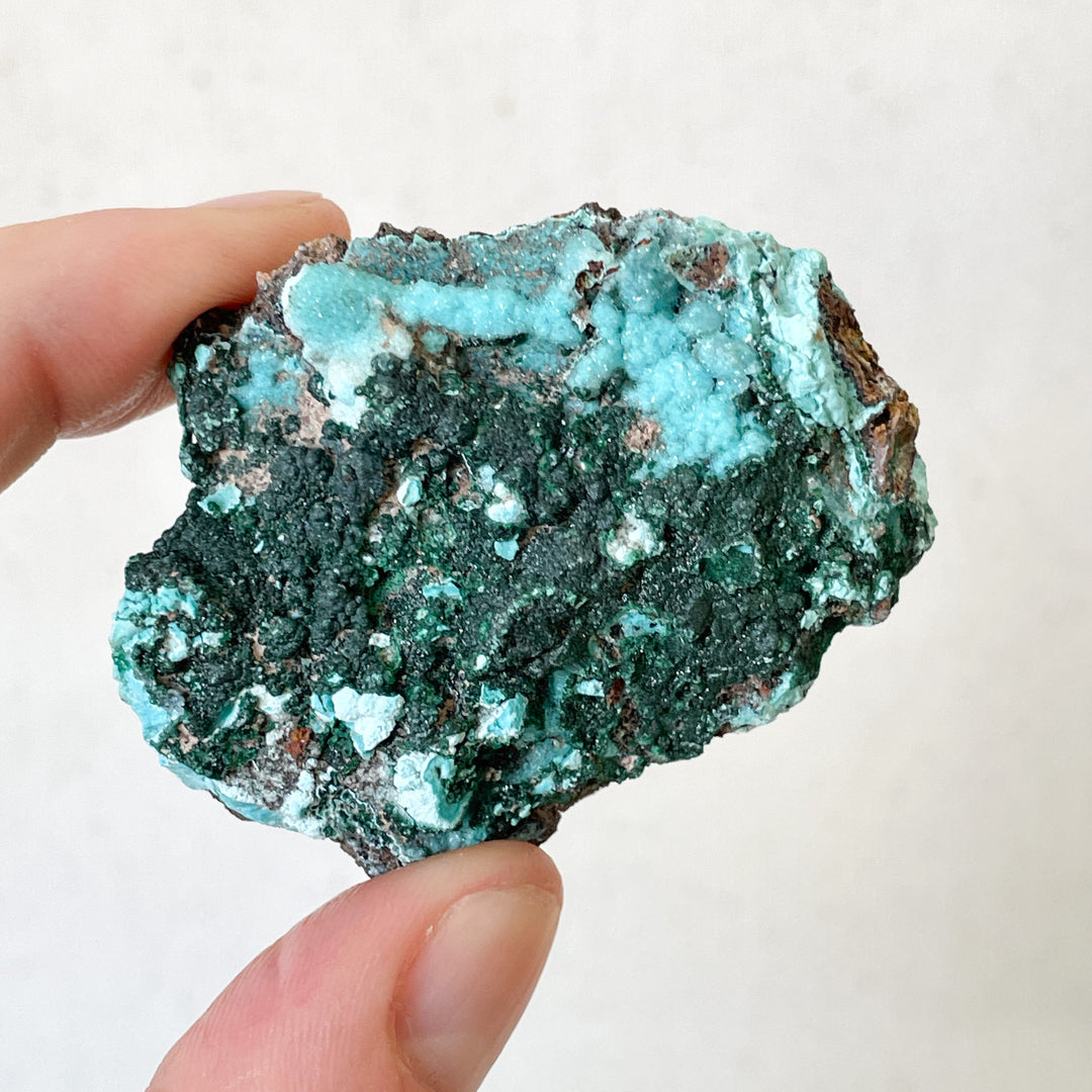 Malachiet groene cluster met druzy blauwe Chrysocolla (S)